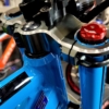 'CUDA BLUE - Image 27