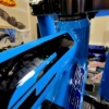 'CUDA BLUE - Image 20