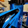 'CUDA BLUE - Image 3
