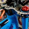 'CUDA BLUE - Image 22