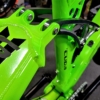 'CUDA TEAM GREEN 2025 - Image 17