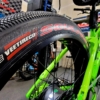 'CUDA TEAM GREEN 2025 - Image 16