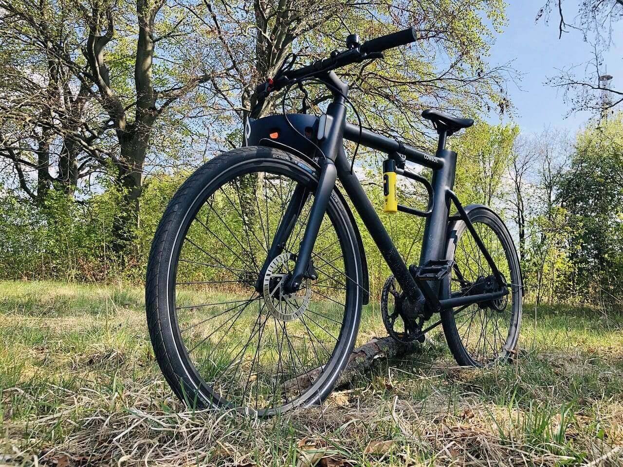 A black SOULFAST eBike parked in a grassy field.