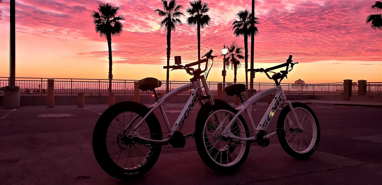 Bicycles at sunset with palm trees.