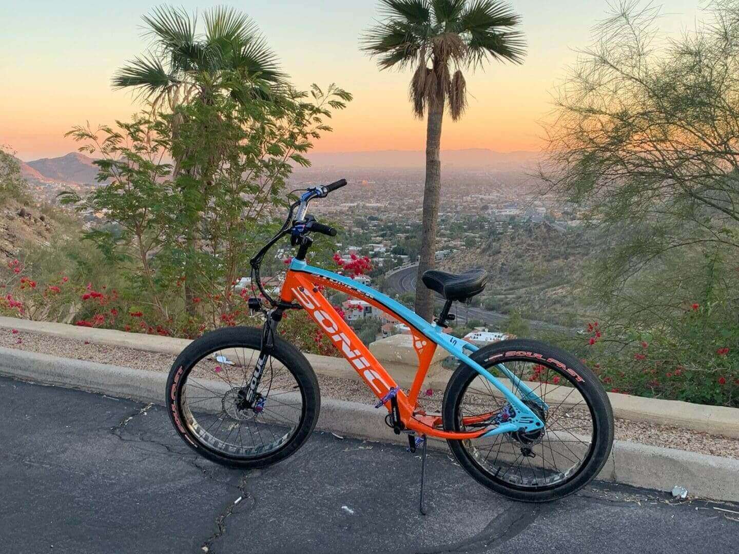 Bicycle on hilltop at sunset with palms.