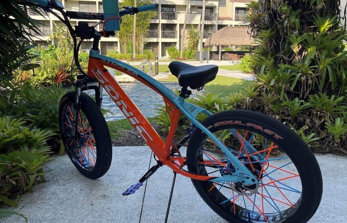 Colorful bicycle parked near tropical plants.