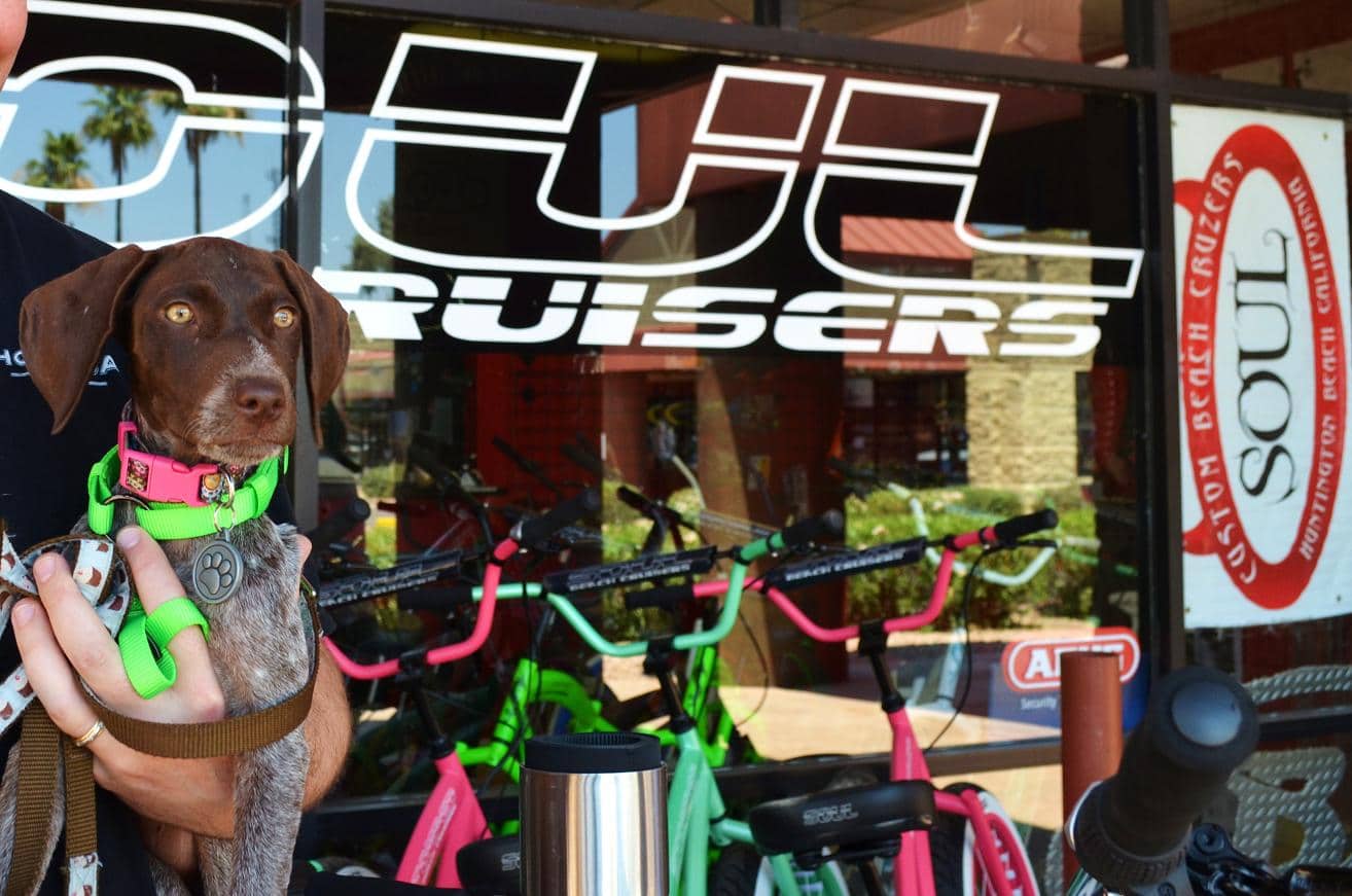 Puppy held in front of bicycle shop.
