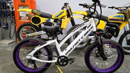 24″ SX STEP OVER WHITE PURPLE